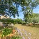 Casa Vinela *