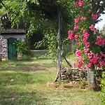 Casa de Férias Casa Vinela Buje