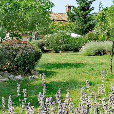 Prázdninový dům Casa Vinela Buje