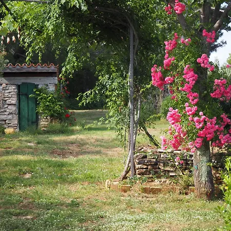 בית נופש Casa Vinela בוג'ה