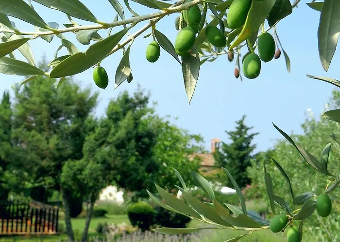 Casa Vinela Buje