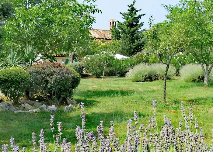 Casa Vinela *