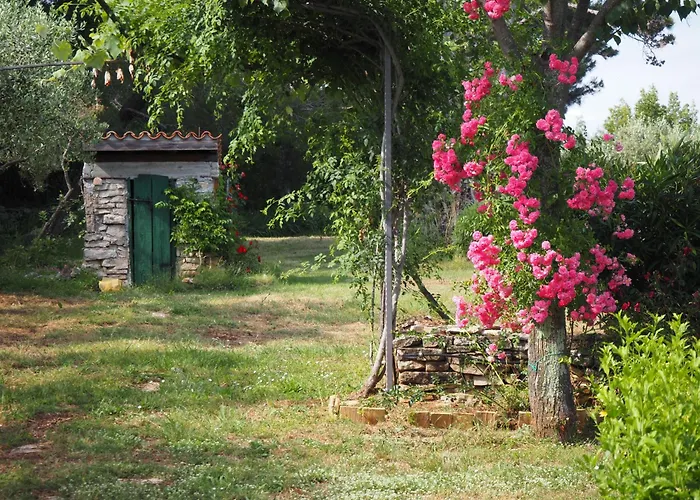Prázdninový dům Casa Vinela Buje