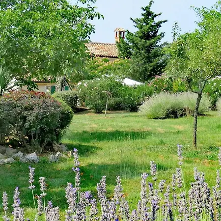 Casa Vinela *
