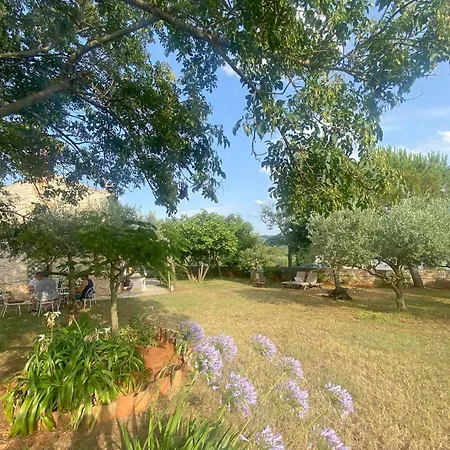 Casa Vinela *